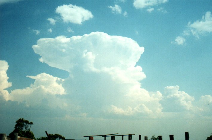 thunderstorm cumulonimbus_incus : Tregeagle, NSW   27 September 2000