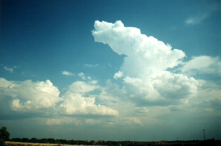 thunderstorm cumulonimbus_calvus : Lismore, NSW   27 September 2000