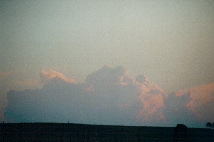 thunderstorm cumulonimbus_calvus : Appin, NSW   28 September 2000