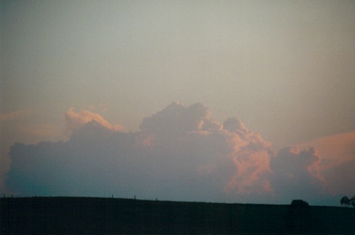 thunderstorm cumulonimbus_calvus : Appin, NSW   28 September 2000