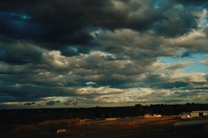 stratus stratus_cloud : Schofields, NSW   15 October 2000