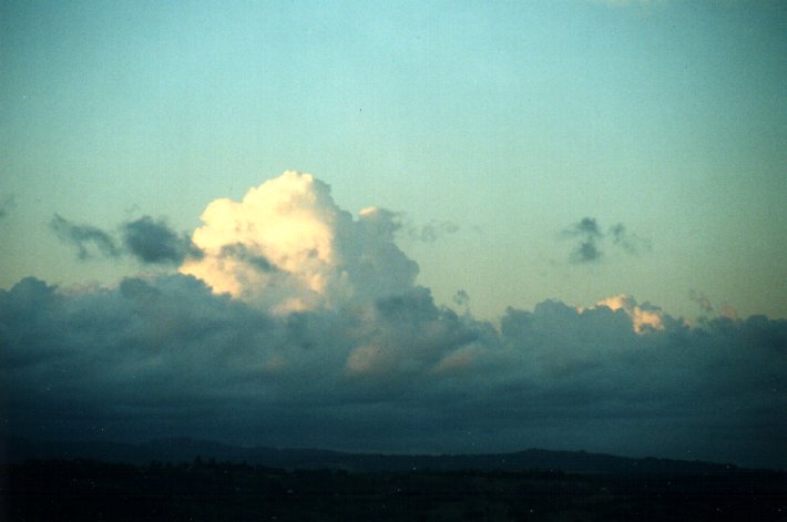 cumulus congestus : McLeans Ridges, NSW   16 October 2000