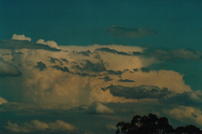 thunderstorm cumulonimbus_incus : Kemps Creek, NSW   19 October 2000