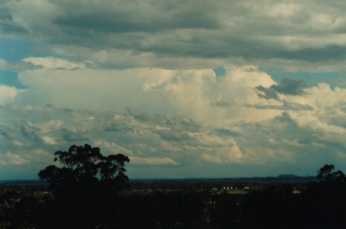 thunderstorm cumulonimbus_incus : Kemps Creek, NSW   19 October 2000