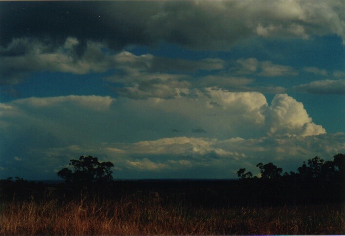 thunderstorm cumulonimbus_incus : Kemps Creek, NSW   19 October 2000