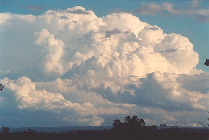 cumulus congestus : Kemps Creek, NSW   19 October 2000