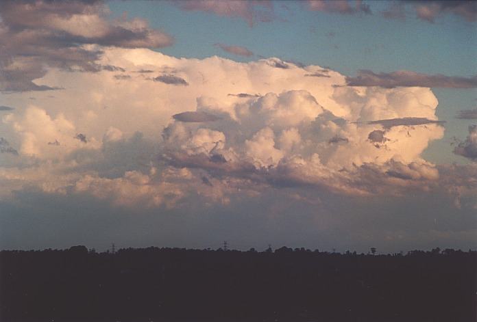 thunderstorm cumulonimbus_calvus : Kemps Creek, NSW   19 October 2000