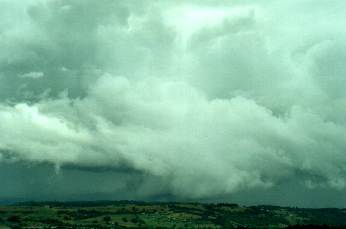 cumulus congestus : McLeans Ridges, NSW   22 October 2000