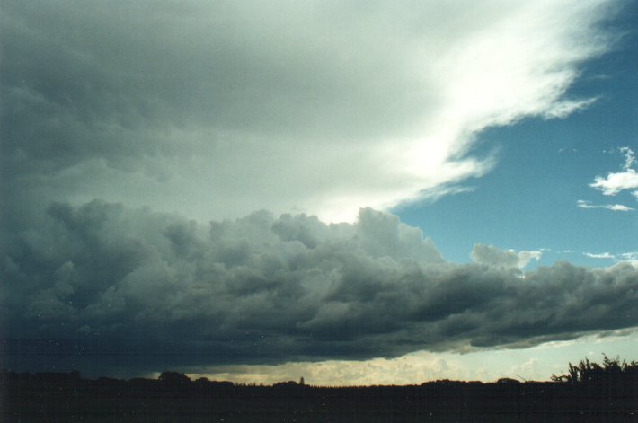anvil thunderstorm_anvils : Meerschaum, NSW   25 October 2000