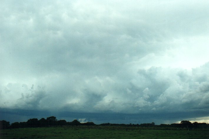 cumulonimbus thunderstorm_base : Meerschaum, NSW   25 October 2000