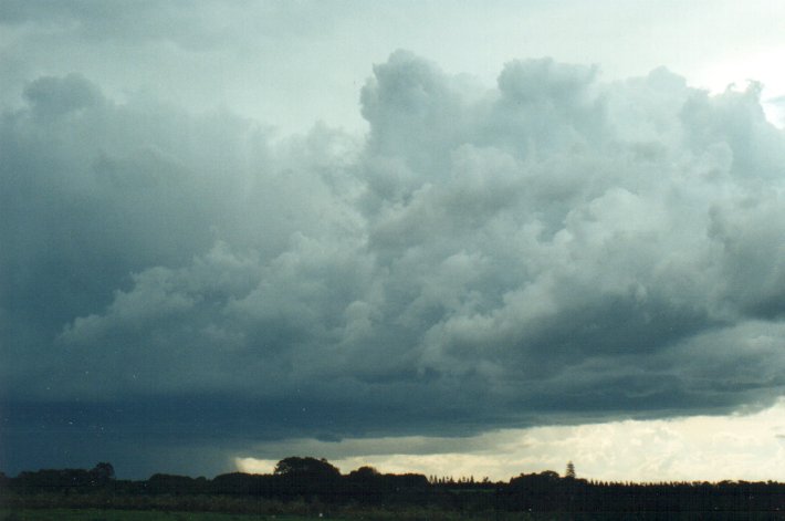 cumulonimbus thunderstorm_base : Meerschaum, NSW   25 October 2000