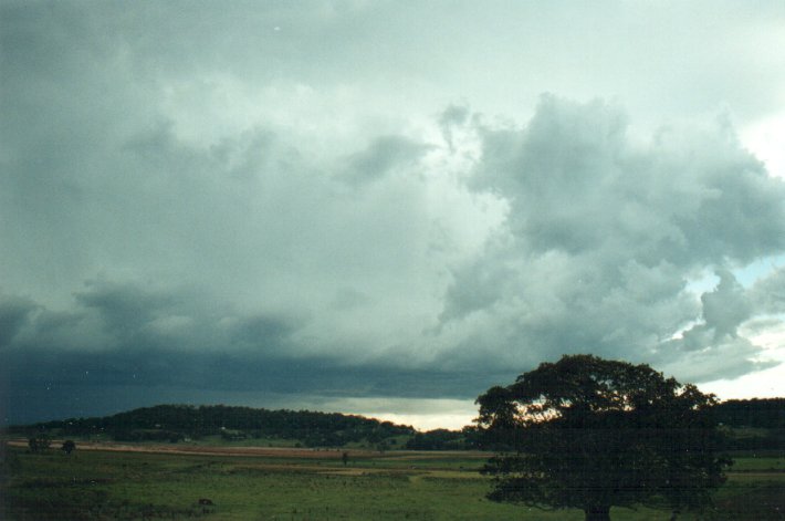 shelfcloud shelf_cloud : Meerschaum Vale, NSW   25 October 2000