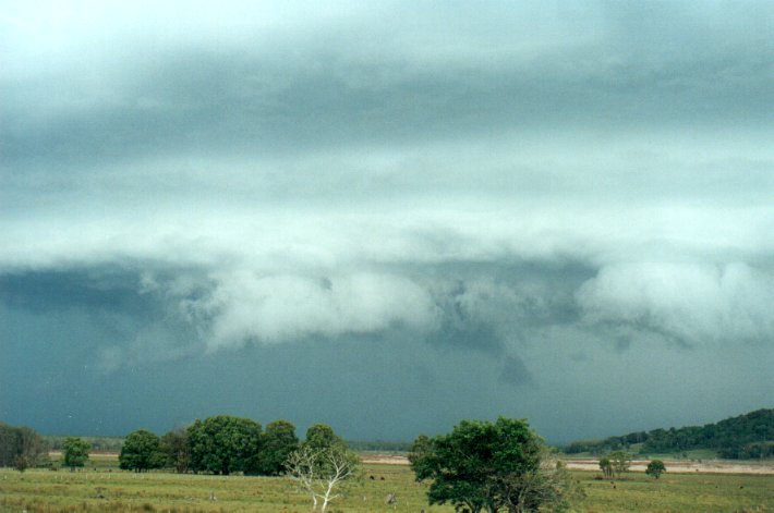 cumulonimbus thunderstorm_base : Meerschaum Vale, NSW   25 October 2000
