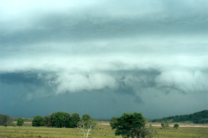 shelfcloud shelf_cloud : Meerschaum Vale, NSW   25 October 2000