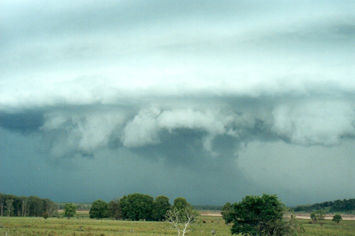 shelfcloud shelf_cloud : Meerschaum Vale, NSW   25 October 2000