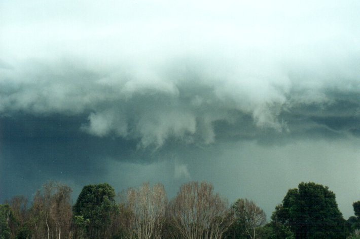 favourites michael_bath : Meerschaum Vale, NSW   25 October 2000