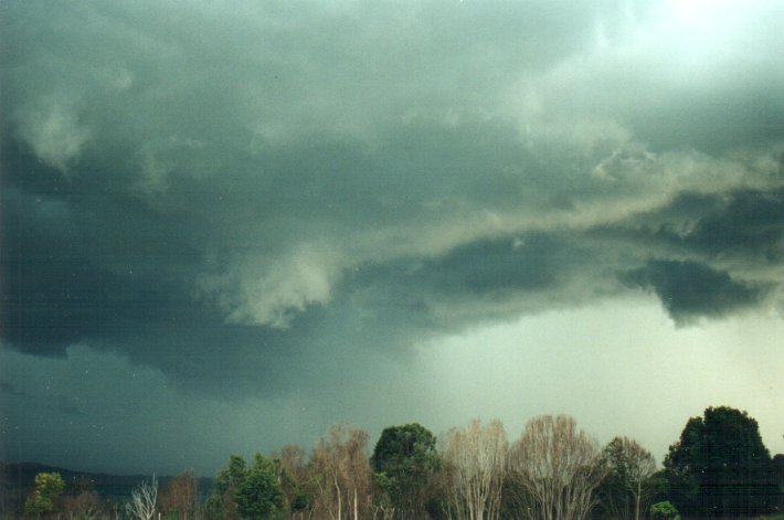 shelfcloud shelf_cloud : Meerschaum, NSW   25 October 2000