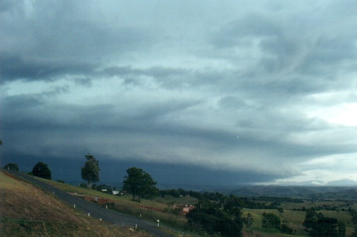 cumulonimbus thunderstorm_base : McLeans Ridges, NSW   25 October 2000