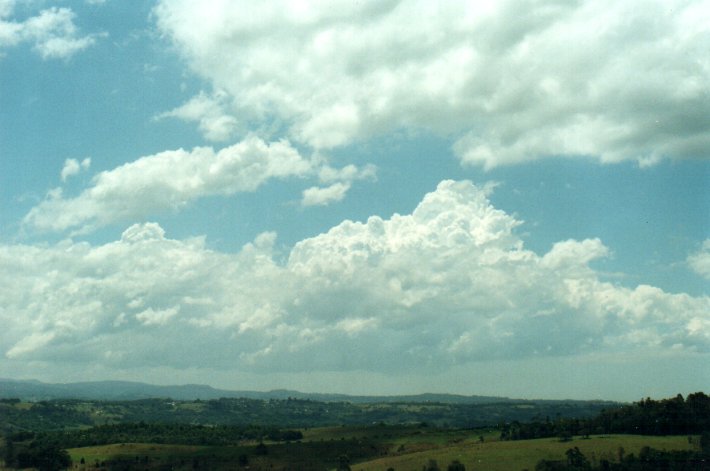 thunderstorm cumulonimbus_calvus : McLeans Ridges, NSW   26 October 2000