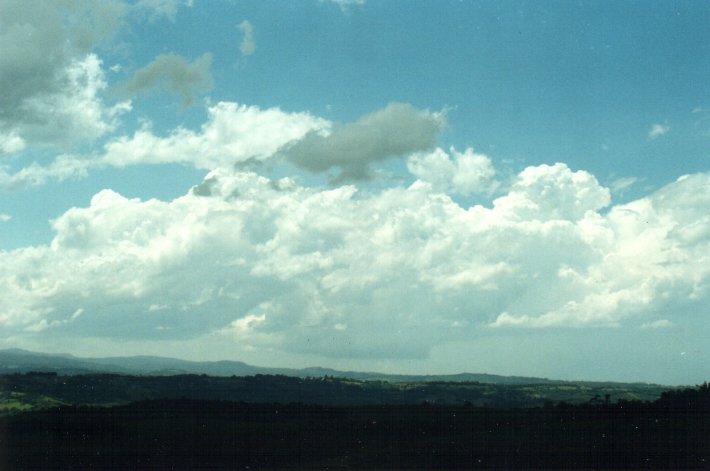 cumulus congestus : McLeans Ridges, NSW   26 October 2000