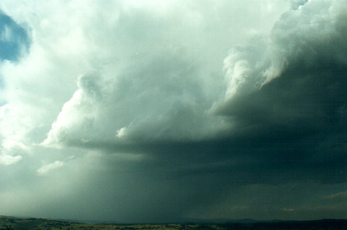 cumulonimbus thunderstorm_base : McLeans Ridges, NSW   26 October 2000