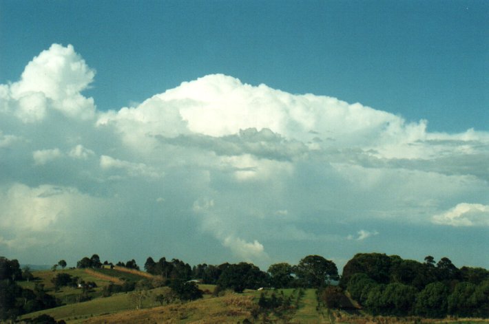 thunderstorm cumulonimbus_incus : McLeans Ridges, NSW   26 October 2000