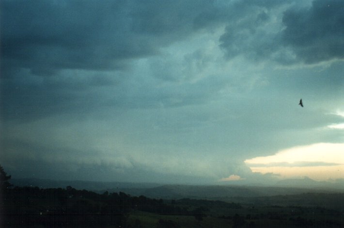 cumulonimbus thunderstorm_base : McLeans Ridges, NSW   26 October 2000
