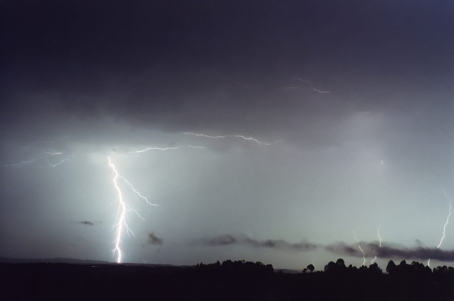 favourites michael_bath : McLeans Ridges, NSW   26 October 2000