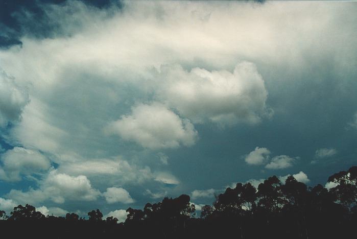 anvil thunderstorm_anvils : N of Colo Heights, NSW   3 November 2000