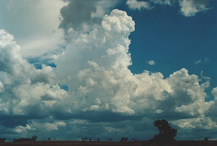 thunderstorm cumulonimbus_calvus : Muswellbrook, NSW   3 November 2000