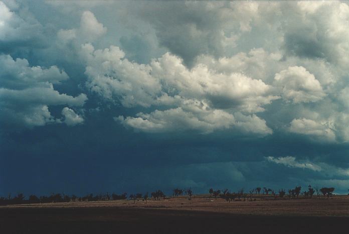 cumulonimbus thunderstorm_base : Muswellbrook, NSW   3 November 2000