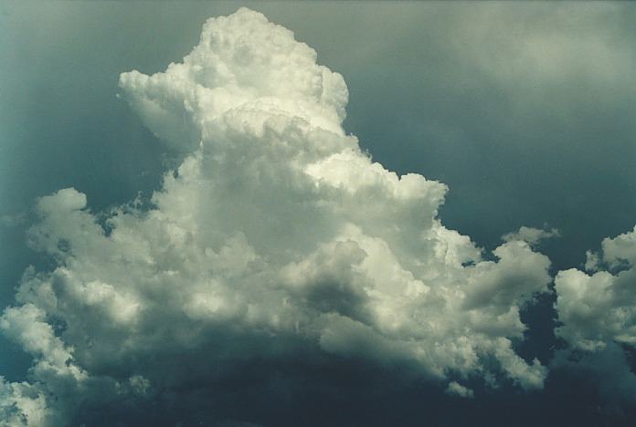 cumulus congestus : Muswellbrook, NSW   3 November 2000