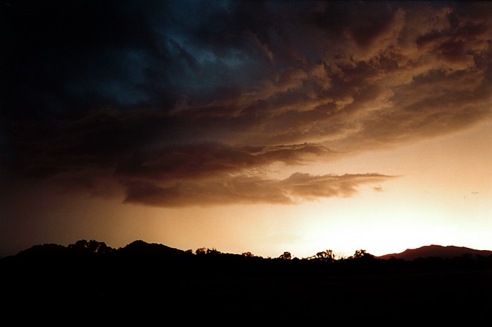 favourites jimmy_deguara : Willow Tree, NSW   3 November 2000