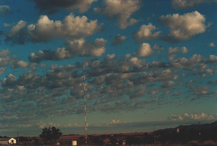 altocumulus castellanus : Tamworth, NSW   4 November 2000