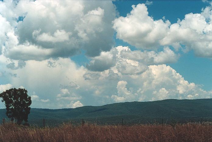 thunderstorm cumulonimbus_incus : Bingara, NSW   4 November 2000