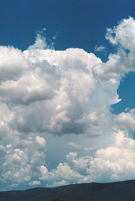 cumulus congestus : Bingara, NSW   4 November 2000