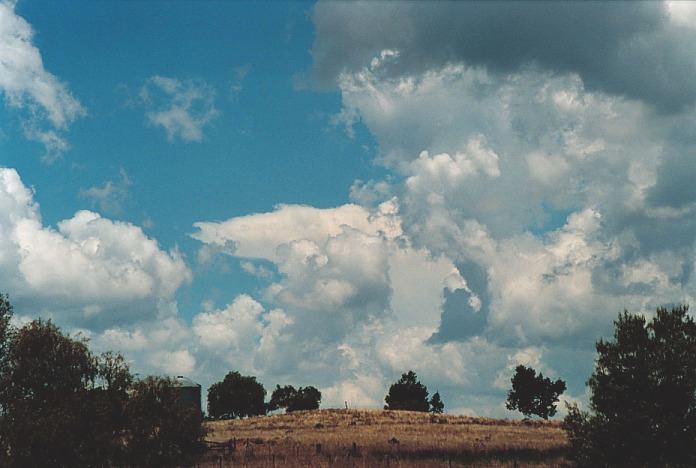 cumulus congestus : Bingara, NSW   4 November 2000