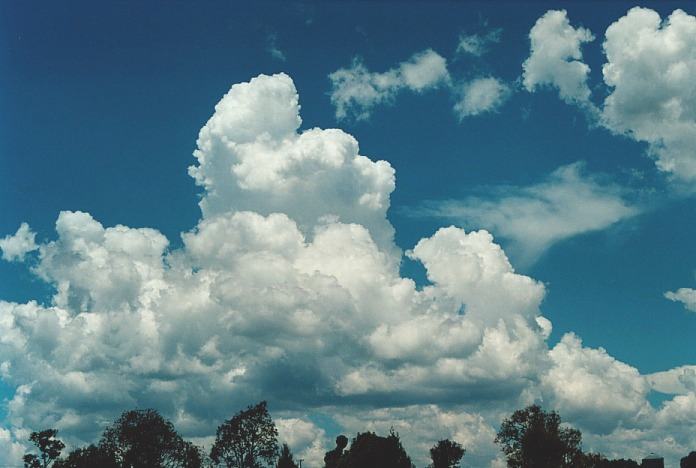 cumulus congestus : Bingara, NSW   4 November 2000