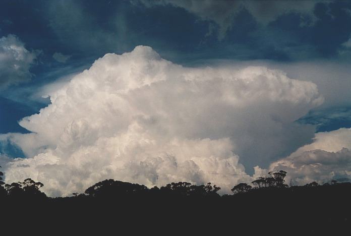 pileus pileus_cap_cloud : W of Grafton, NSW   4 November 2000