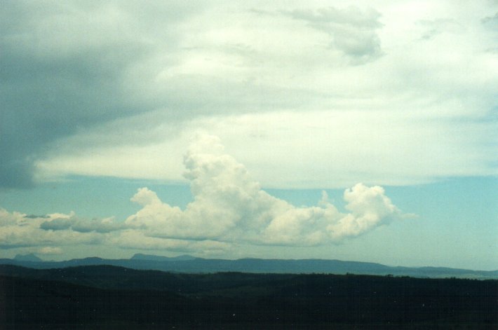 anvil thunderstorm_anvils : Richmond Range, NSW   4 November 2000