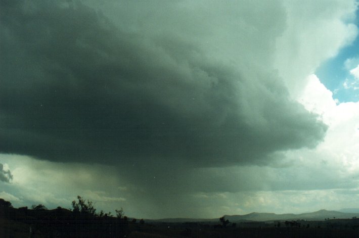 raincascade precipitation_cascade : Richmond Range, NSW   4 November 2000