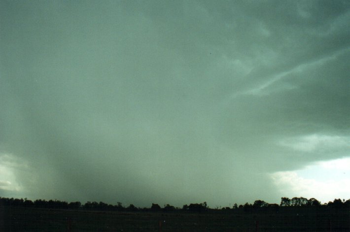 raincascade precipitation_cascade : W of Casino, NSW   4 November 2000