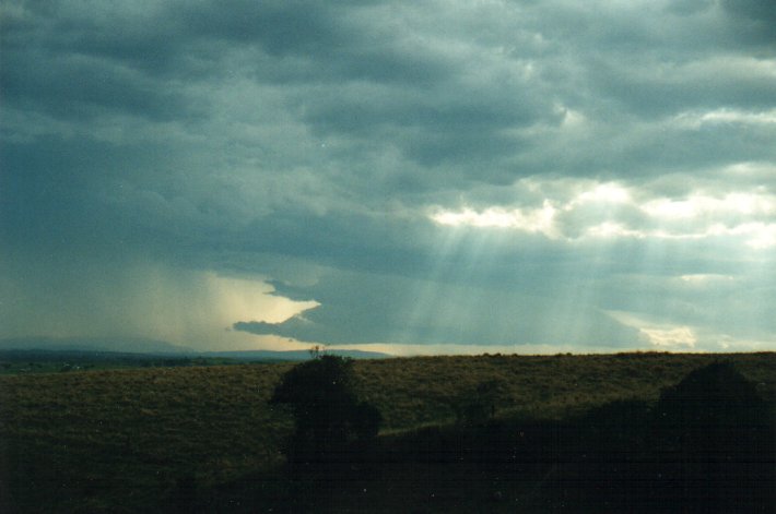 cumulonimbus thunderstorm_base : Parrots Nest, NSW   4 November 2000