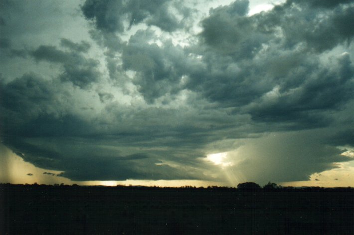 cumulonimbus thunderstorm_base : E of Casino, NSW   4 November 2000