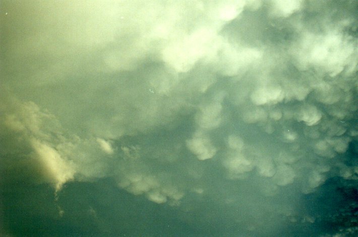 mammatus mammatus_cloud : McLeans Ridges, NSW   4 November 2000