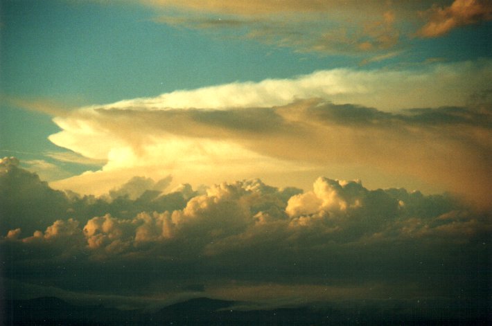 cumulus congestus : McLeans Ridges, NSW   4 November 2000