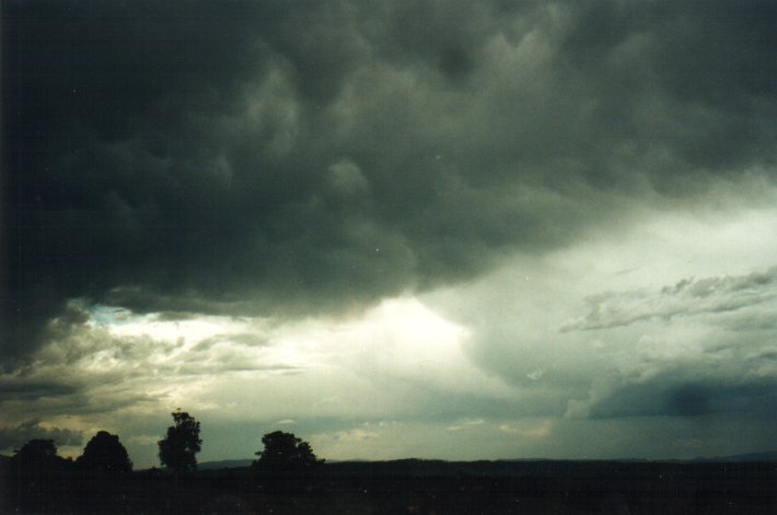 mammatus mammatus_cloud : McLeans Ridges, NSW   4 November 2000