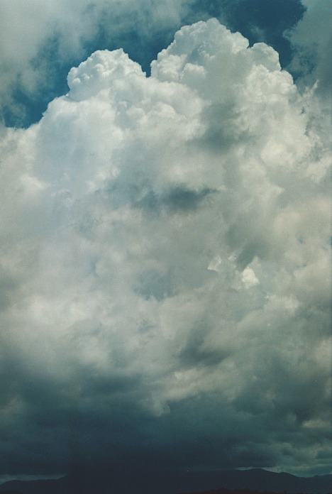 thunderstorm cumulonimbus_calvus : N of Urunga, NSW   5 November 2000