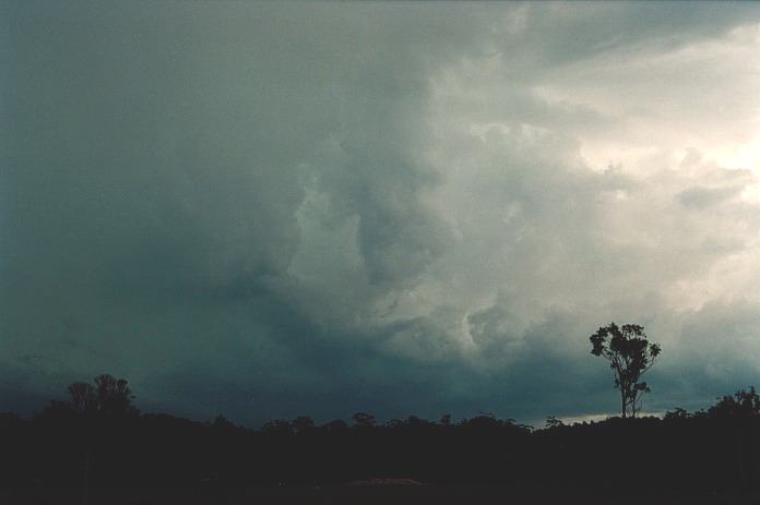 cumulonimbus supercell_thunderstorm : Coffs Harbour, NSW   5 November 2000