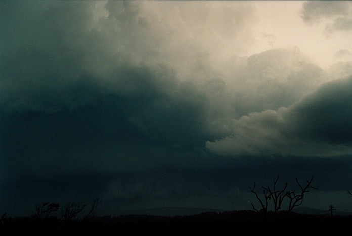 wallcloud thunderstorm_wall_cloud : Corindi Beach, NSW   5 November 2000